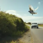 Spiritual Meaning of Birds Flying in Front of Car