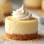 quick holiday lunch recipes