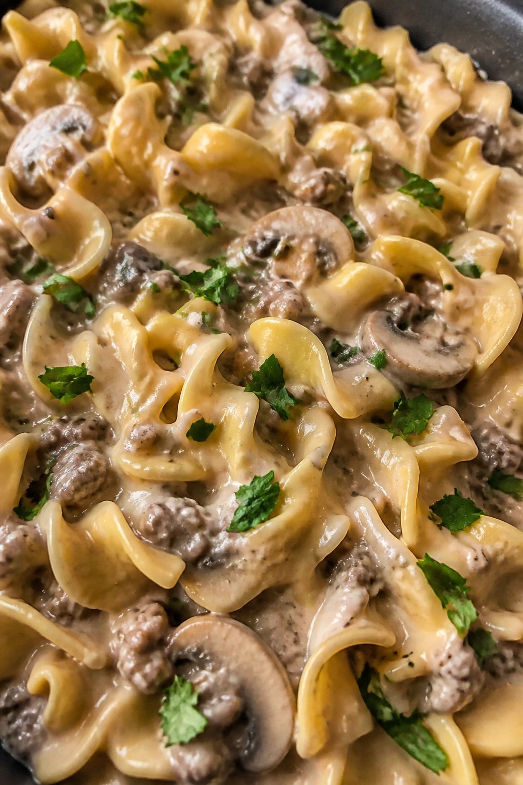 Beef Stroganoff Mushroom and Egg Noodle Casserole