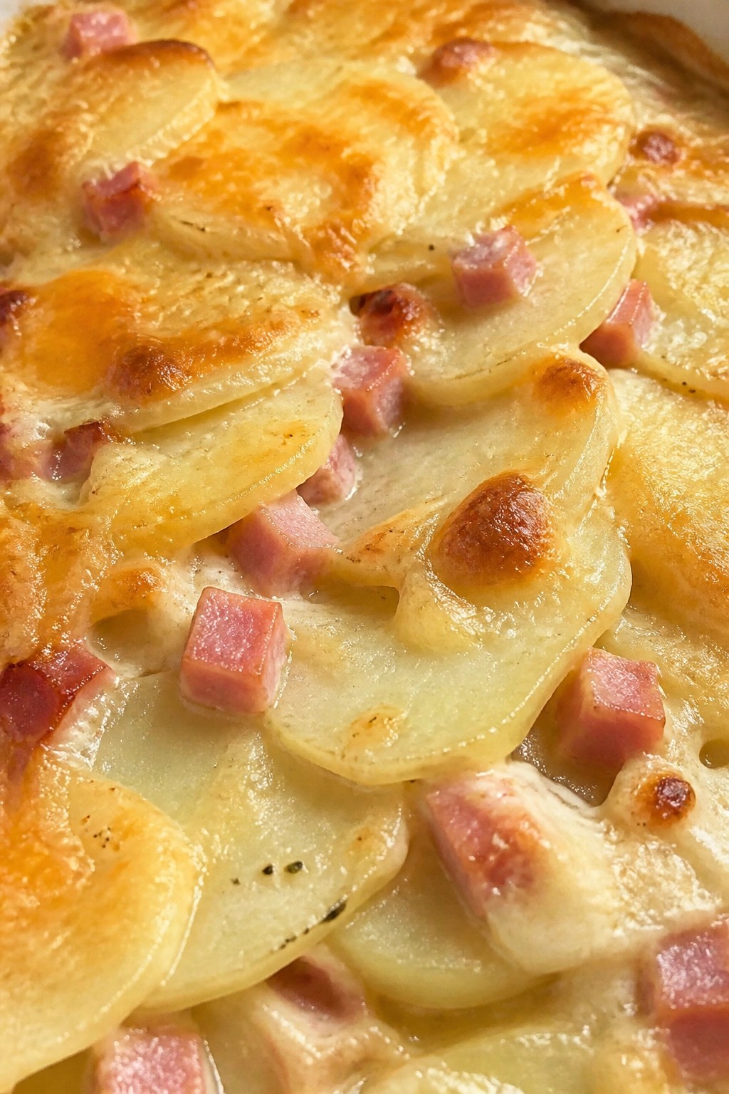 Ham Potato and Cheddar Gratin Casserole