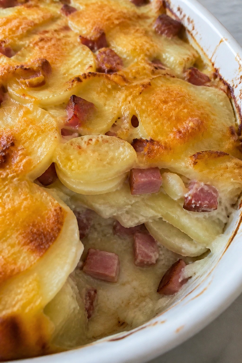 Ham and Potato Gratin Casserole