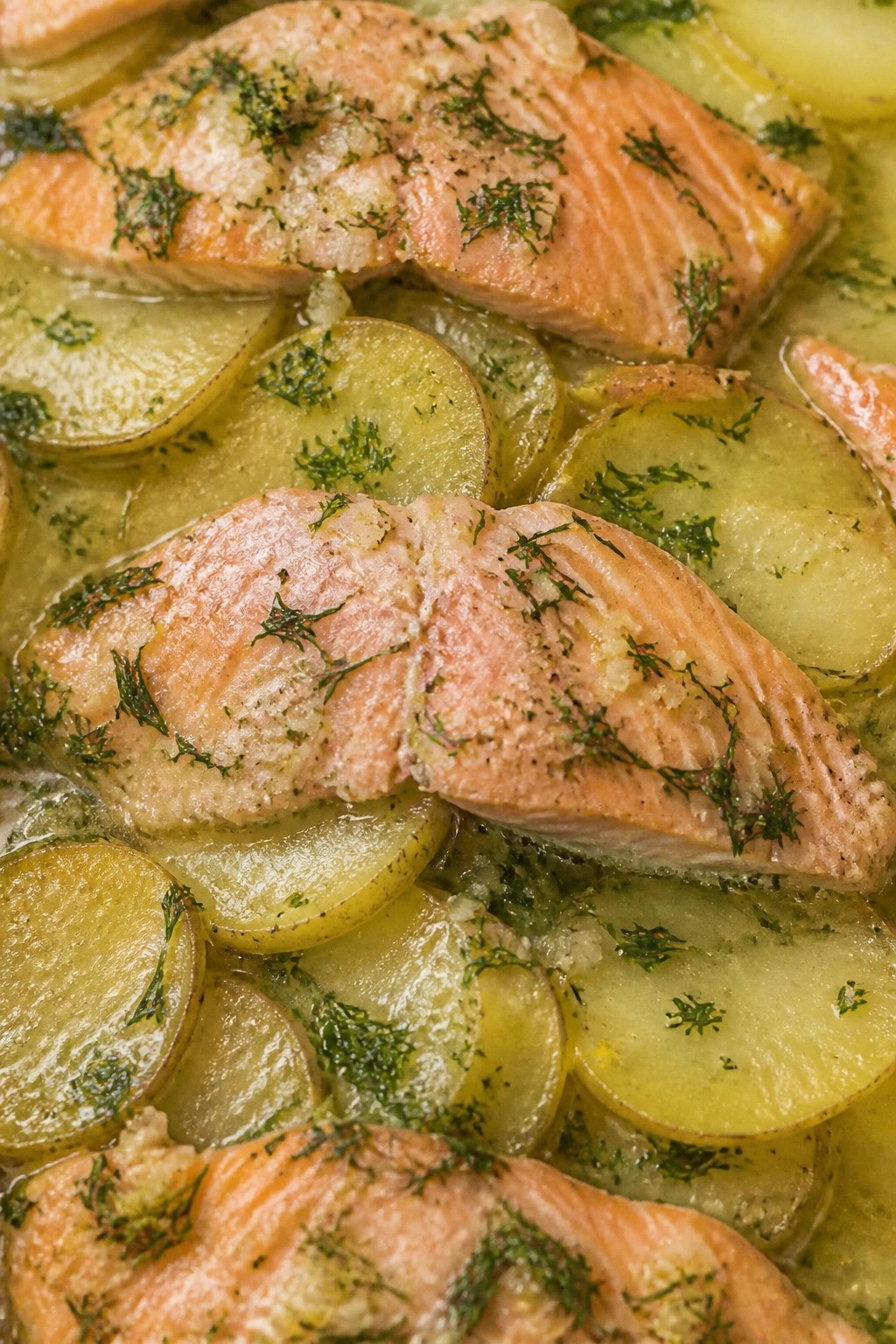Lemon Dill Salmon and Potato Casserole
