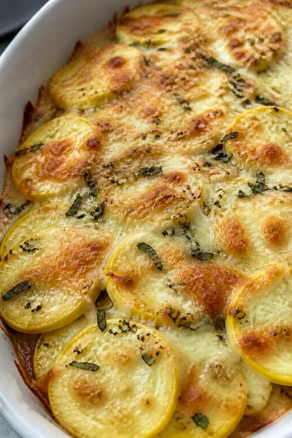 Herbed Yellow Squash Parmesan Casserole