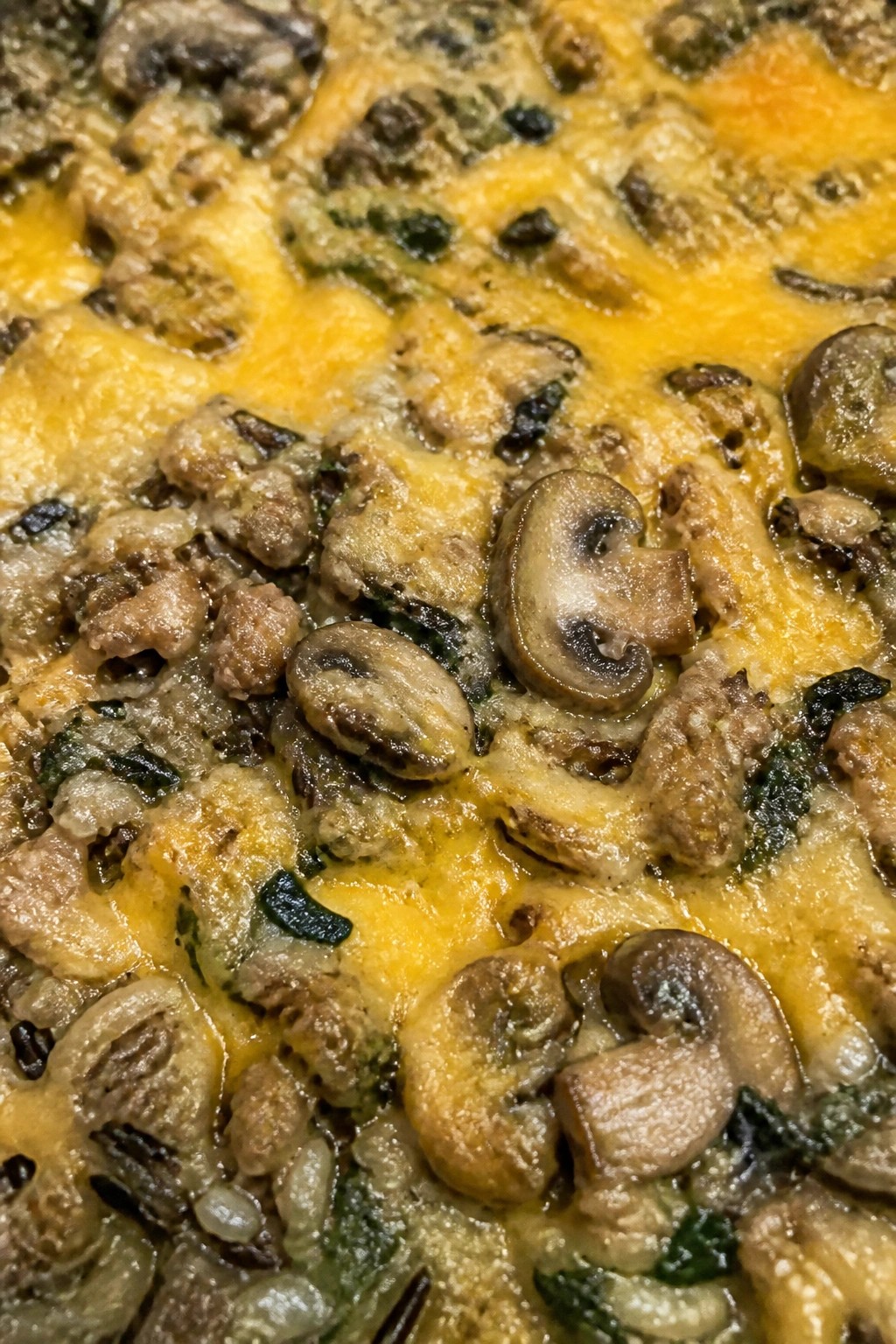 Turkey Wild Rice Mushroom Casserole