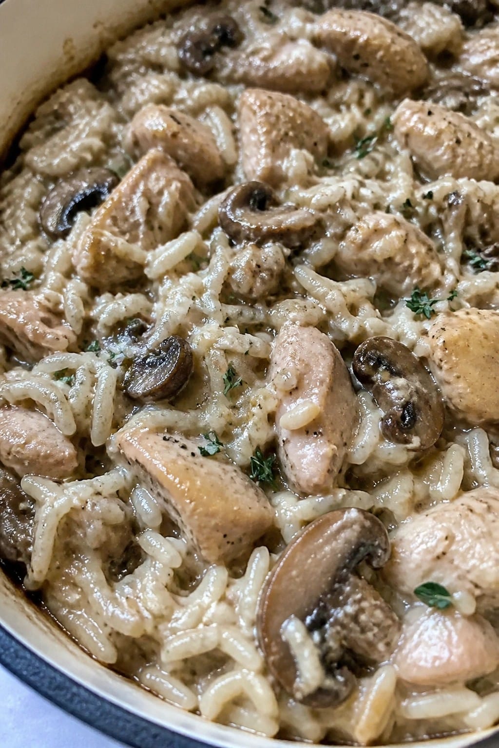 Wild Mushroom and Thyme Chicken Rice Casserole