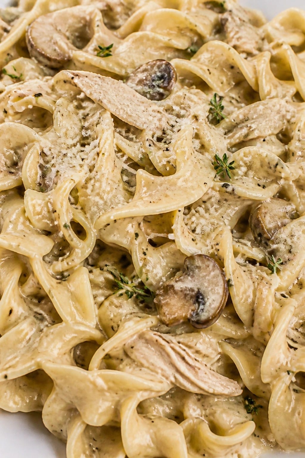 Creamy Mushroom and Thyme Chicken Noodle Casserole