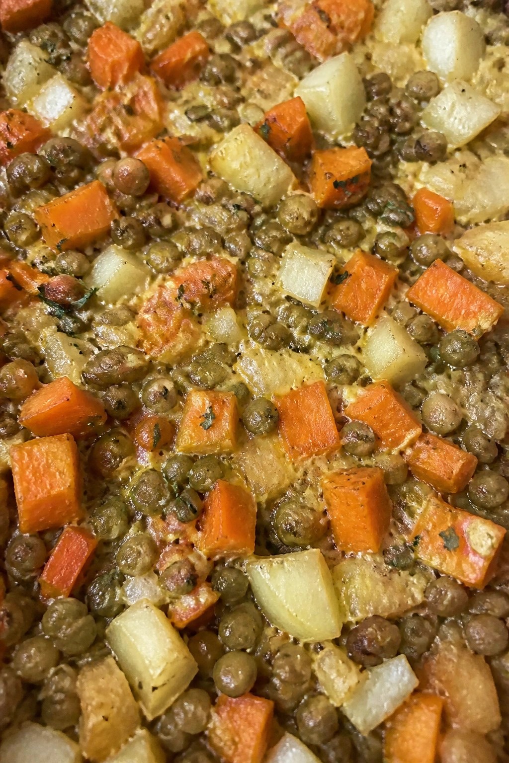 Lentil Roasted Root Vegetable and Thyme Casserole