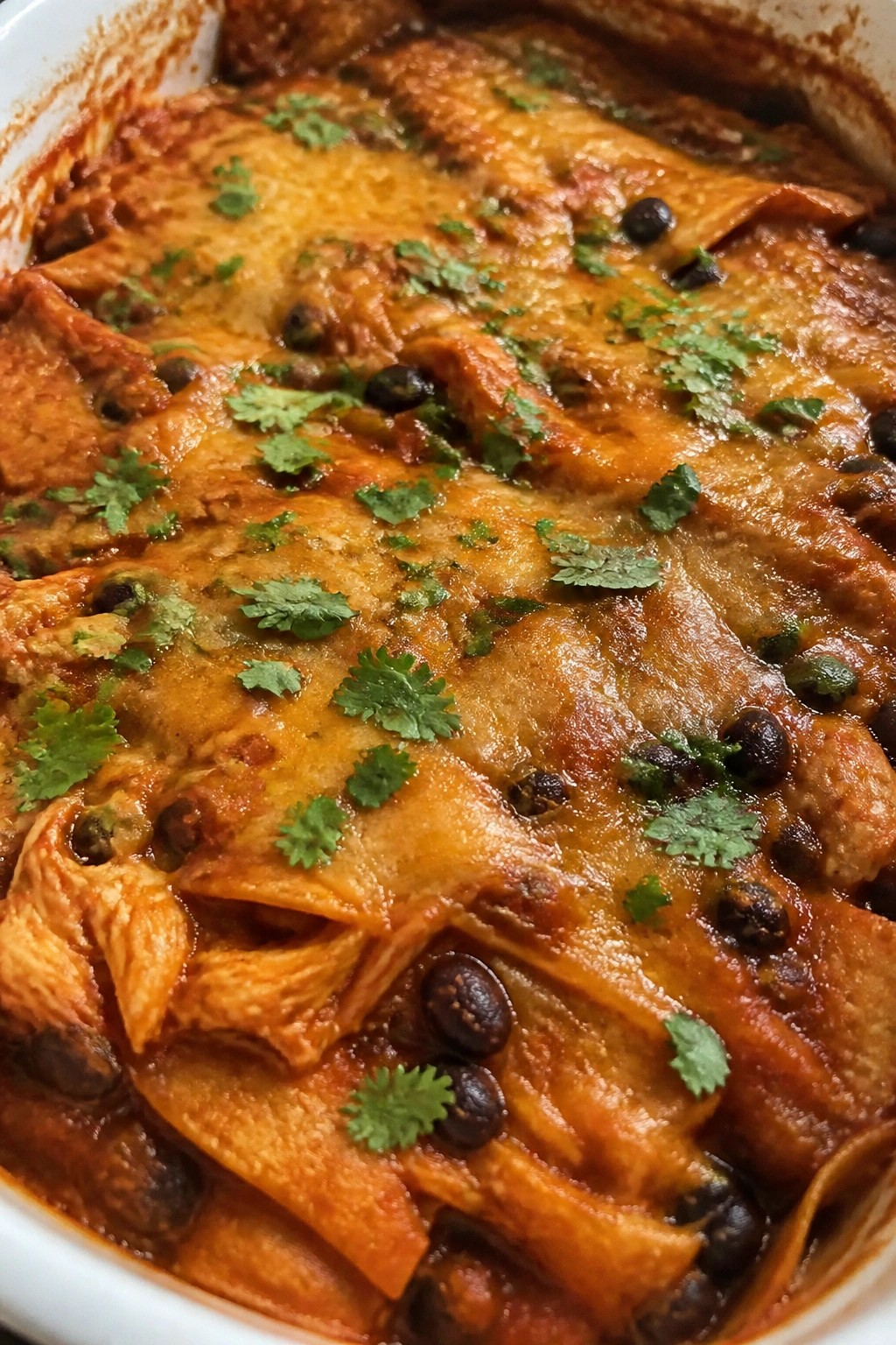Mexican Black Bean Chicken Enchilada Casserole