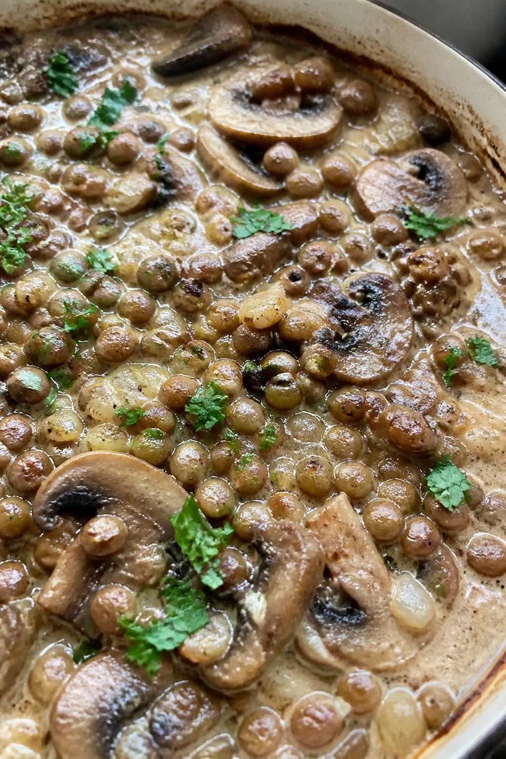Lentil Mushroom Stroganoff Casserole