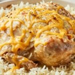 14 Easy Rotisserie Chicken Rice Casserole Recipes You’ll Wish You Tried Sooner