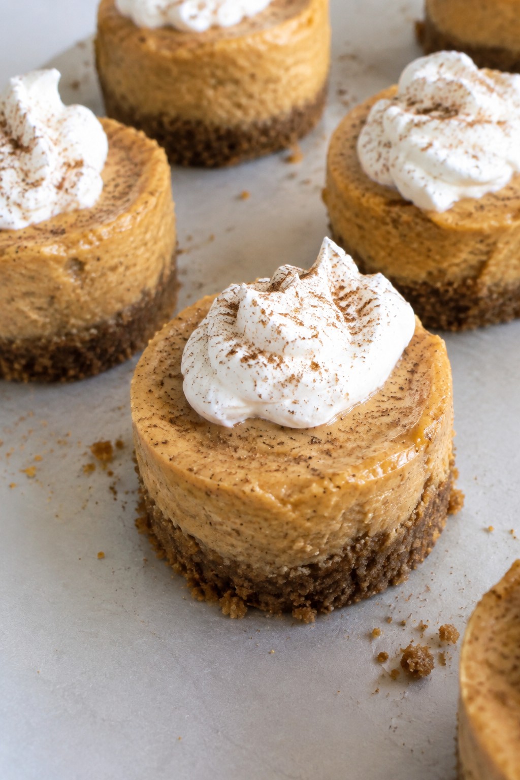 Pumpkin Pie Cheesecake Bites