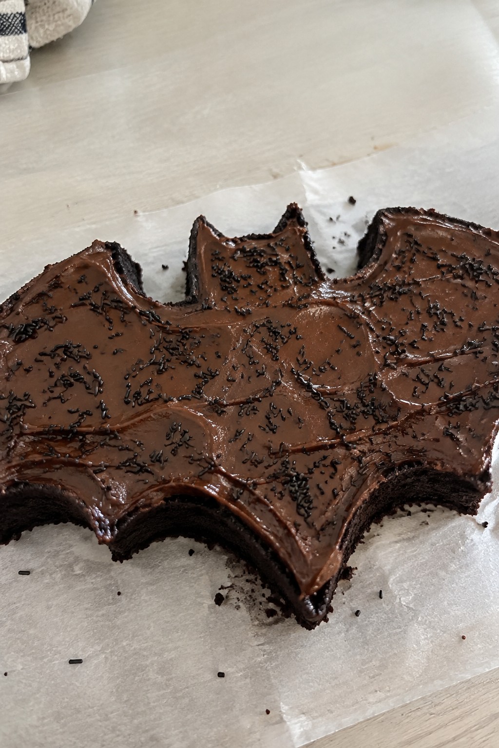 Bat-Shaped Chocolate Fudge Cake