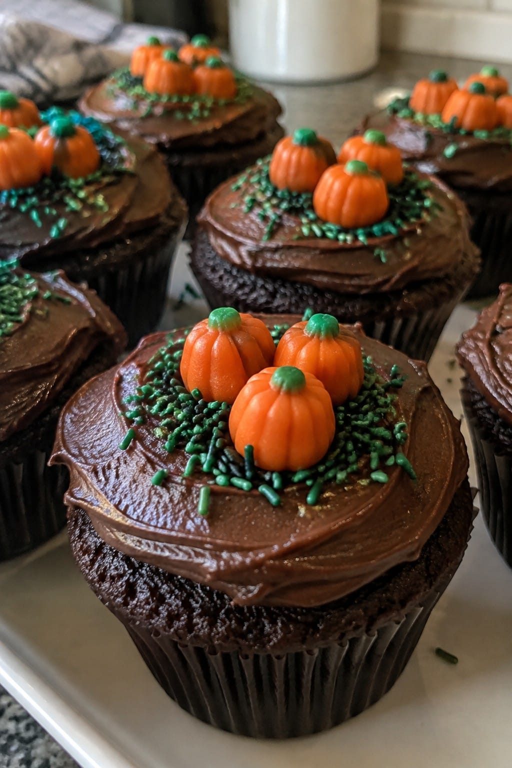 Pumpkin Patch Chocolate Cupcakes