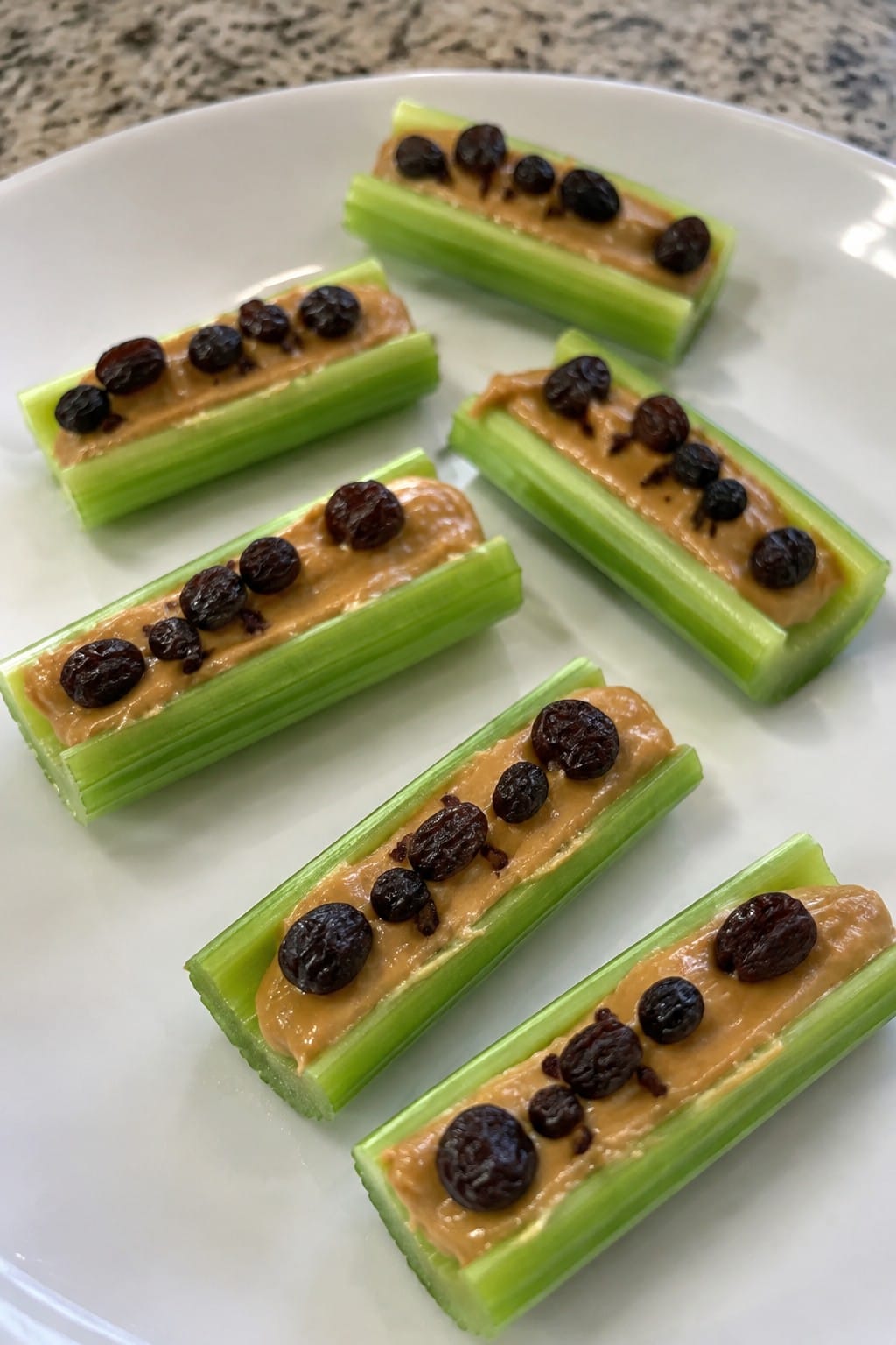 Creepy Crawly Ants-on-a-Log Platter
