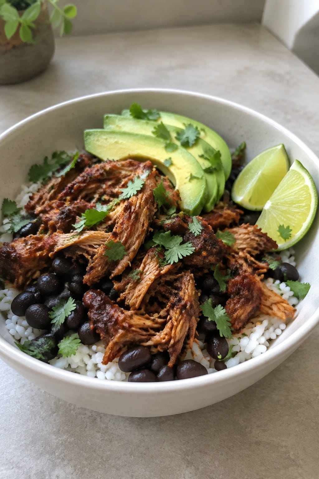 Witch Doctor Smoky Pork Carnitas Bowls