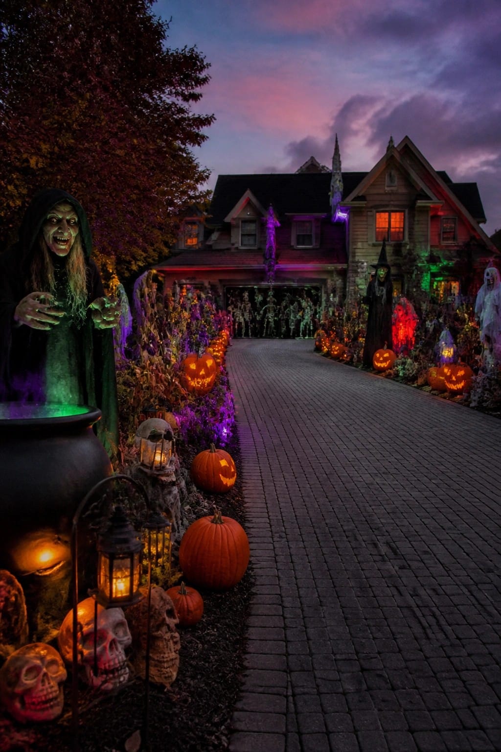 Halloween yard display with a brick walkway lined by glowing jack o lanterns, a large green witch figure next to a cauldron, and skeletons arranged near the garage.