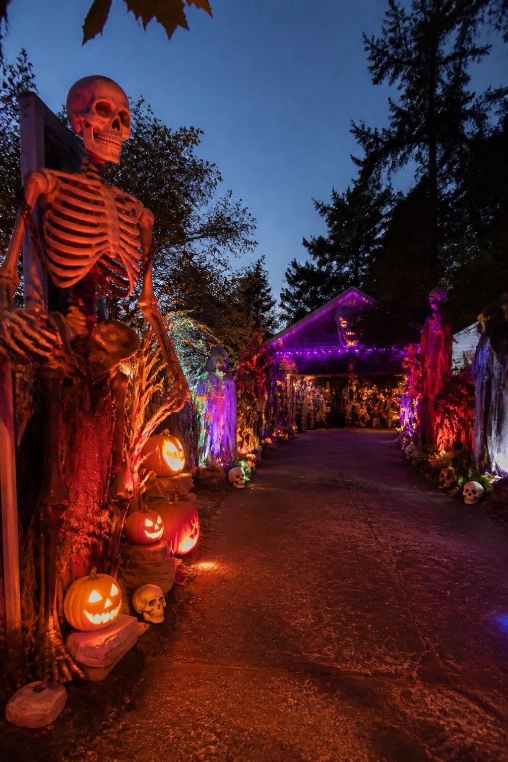 A concrete walkway at dusk lined with a large standing skeleton, glowing jack o lanterns, smaller skulls, and ghost figures leading toward a house with purple string lights.
