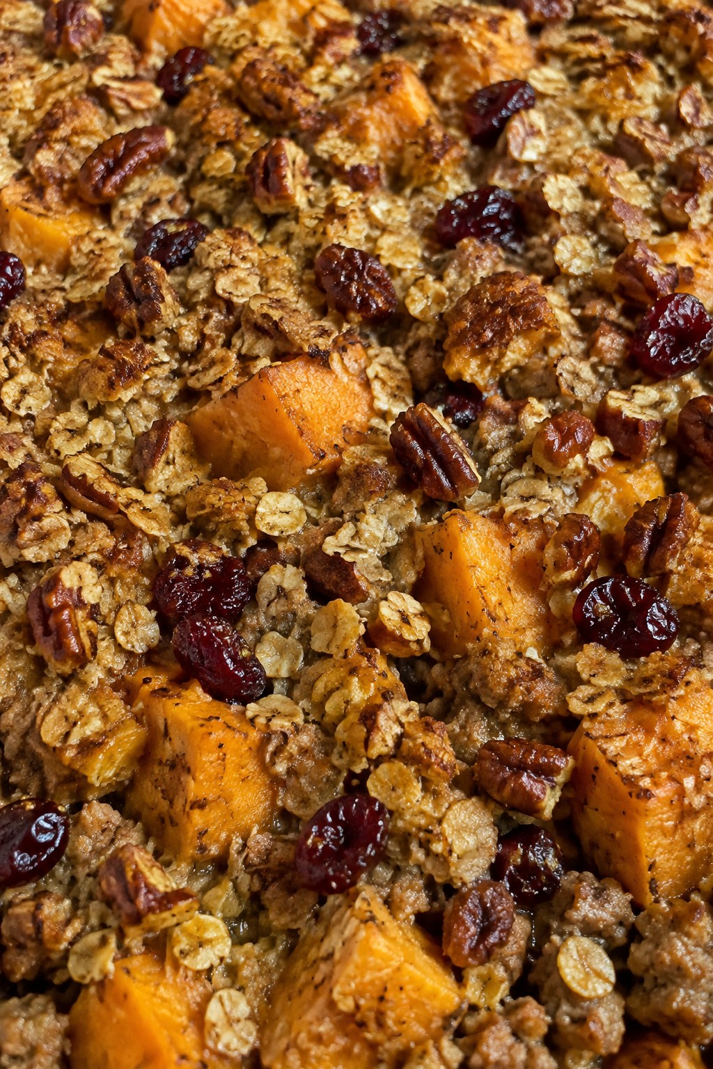 Turkey, Sweet Potato, and Cranberry Casserole